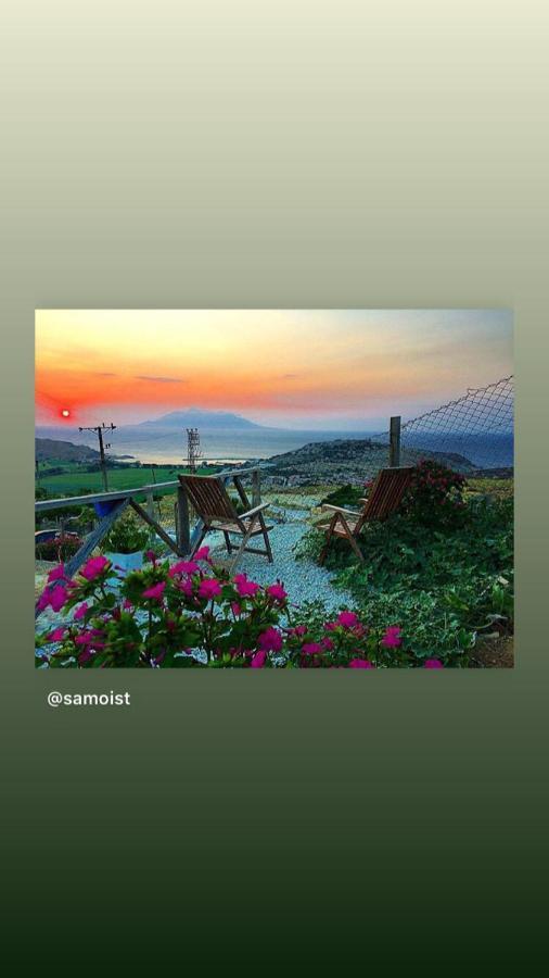 Dimitri Ada Evi & Restaurant Hotel İmroz Buitenkant foto