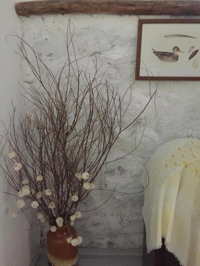 Dimitri Ada Evi & Restaurant Hotel İmroz Buitenkant foto